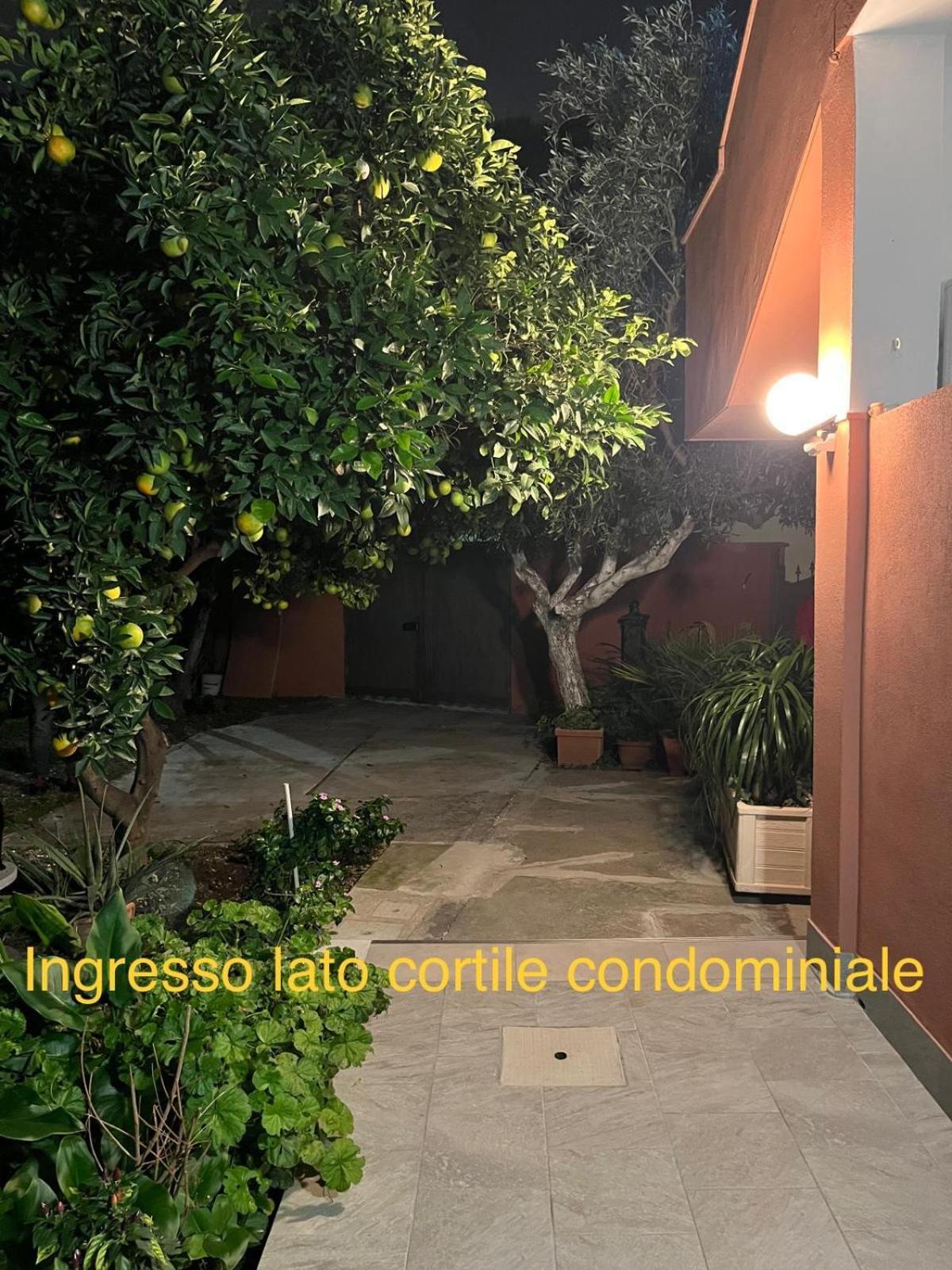 דירות מונסרטו Domus Alice מראה חיצוני תמונה